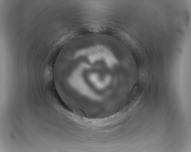 X0000111890043200907231606