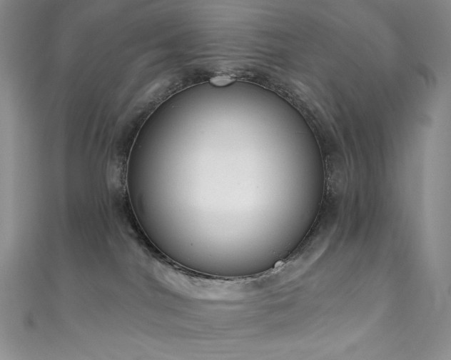 X0000111890044200907231606