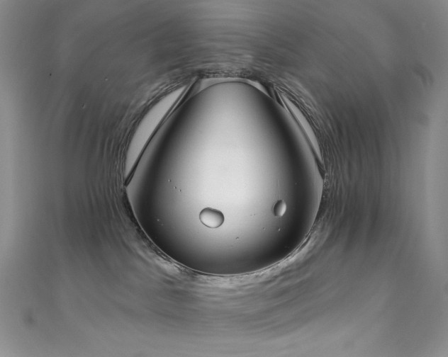 X0000111890045200907231606