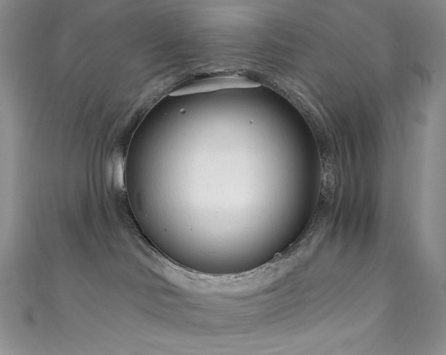 X0000111890046200907231606