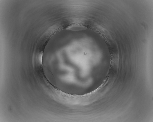 X0000111890047200907231606