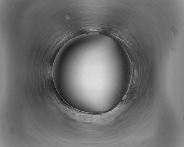 X0000111890048200907231606