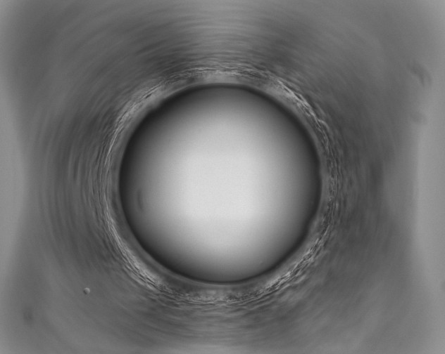 X0000111890049200907231605