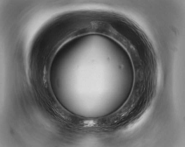 X0000111890050200907231605