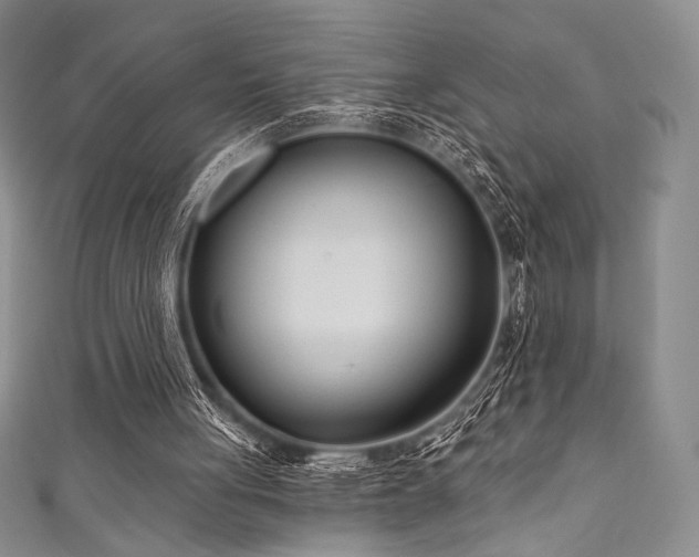 X0000111890051200907231605