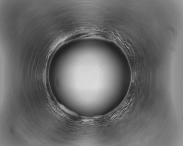 X0000111890052200907231605