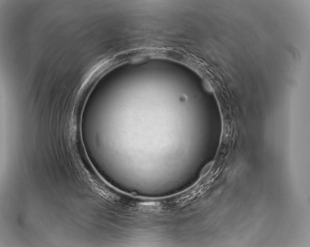 X0000111890053200907231605