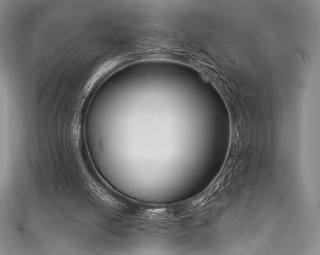 X0000111890054200907231605