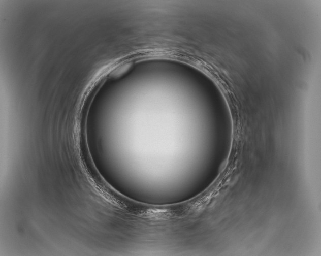 X0000111890055200907231605