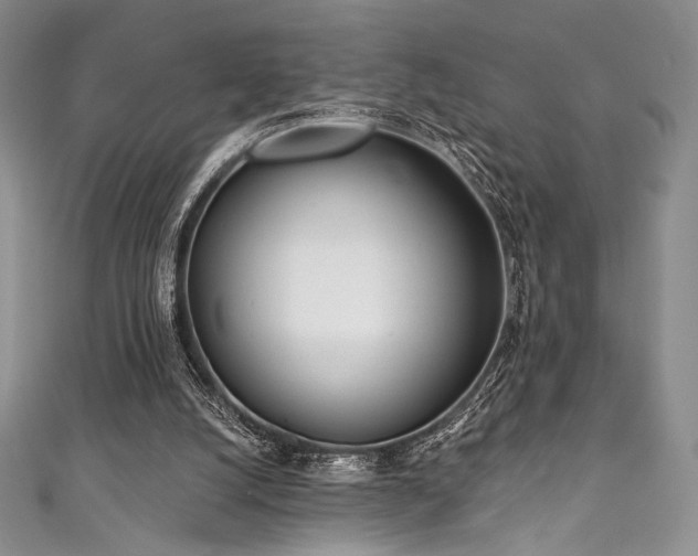 X0000111890056200907231605