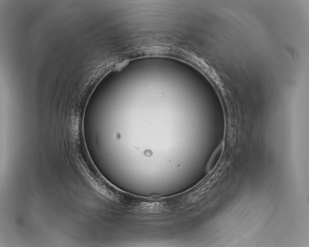 X0000111890057200907231605