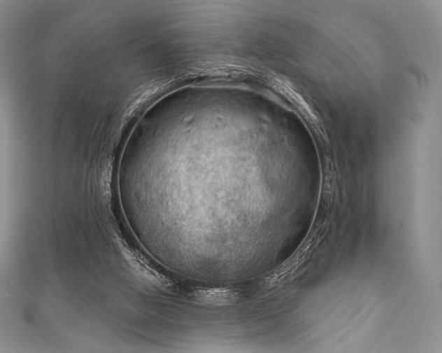 X0000111890058200907231605