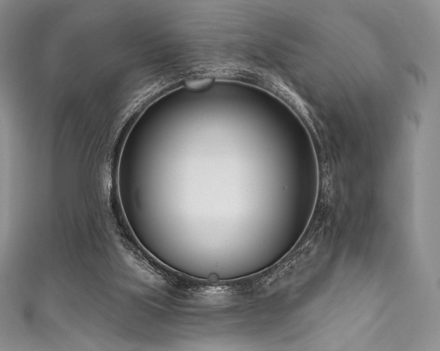 X0000111890059200907231605