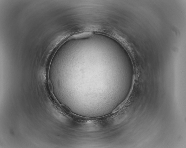 X0000111890060200907231605