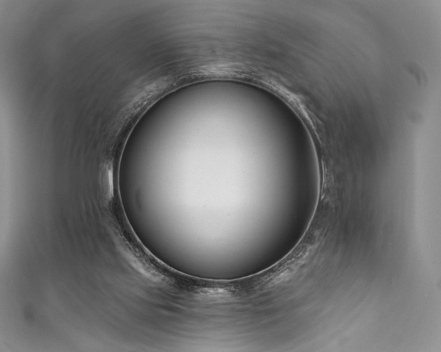 X0000111890061200907231605