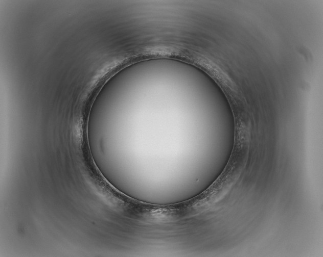 X0000111890064200907231605