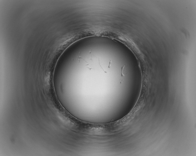 X0000111890066200907231605