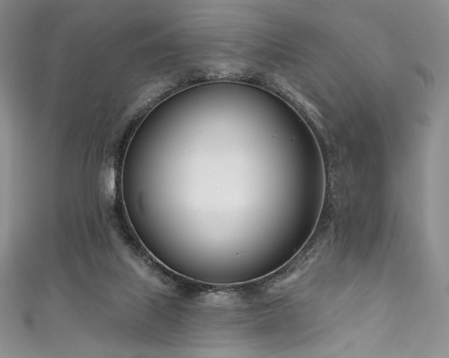 X0000111890067200907231605