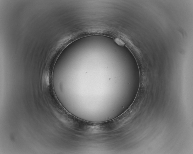 X0000111890068200907231605