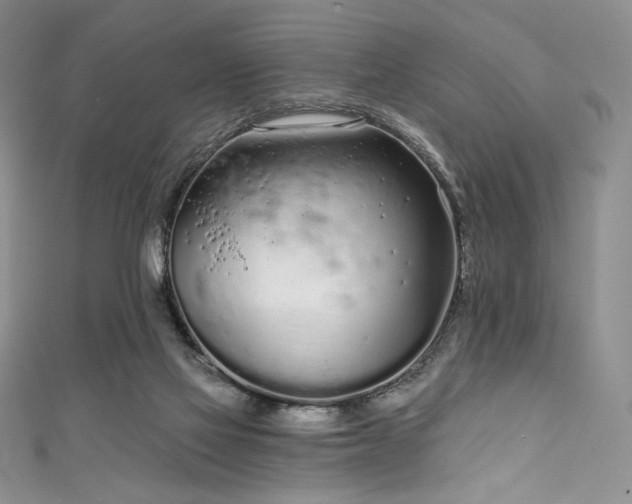 X0000111890069200907231605