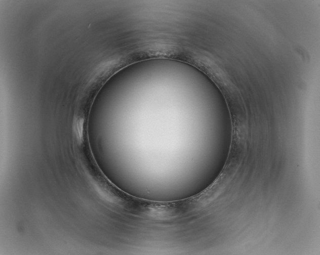 X0000111890070200907231605