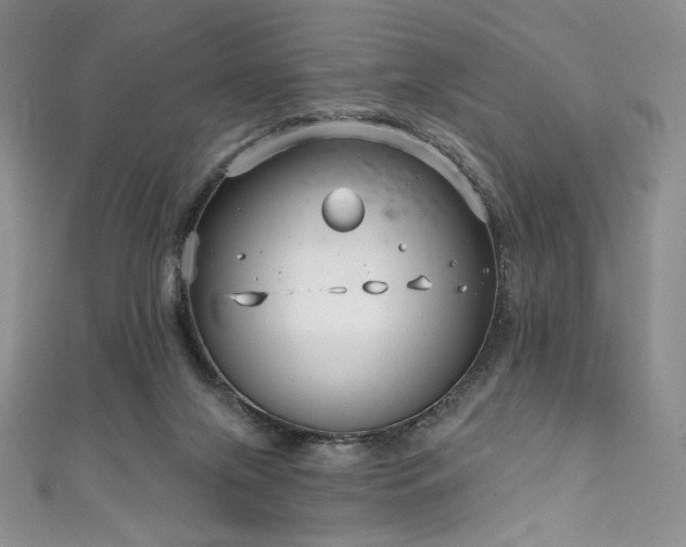 X0000111890071200907231605