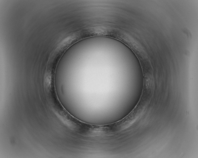 X0000111890072200907231605