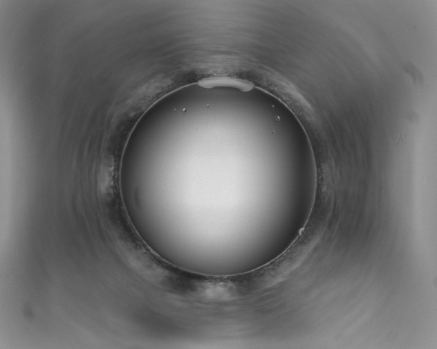 X0000111890073200907231605