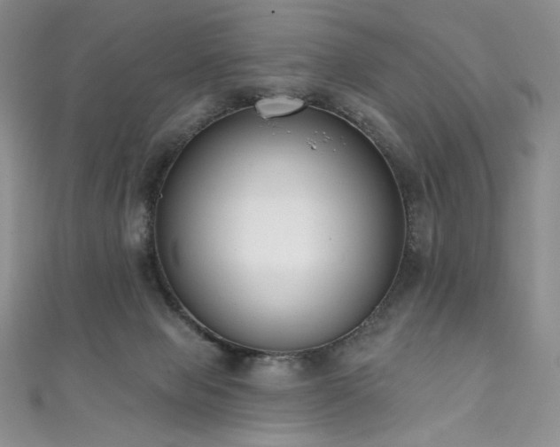 X0000111890077200907231605