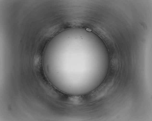 X0000111890079200907231605