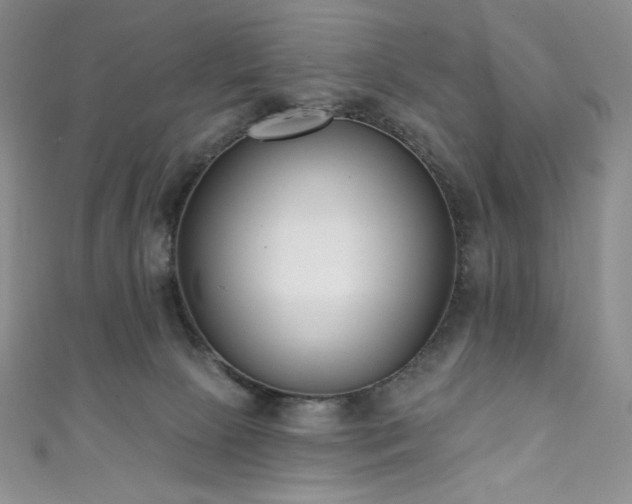 X0000111890081200907231605