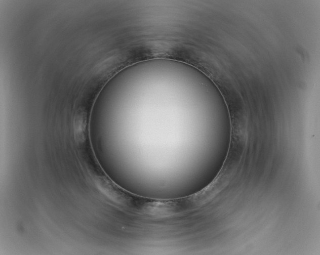 X0000111890082200907231605