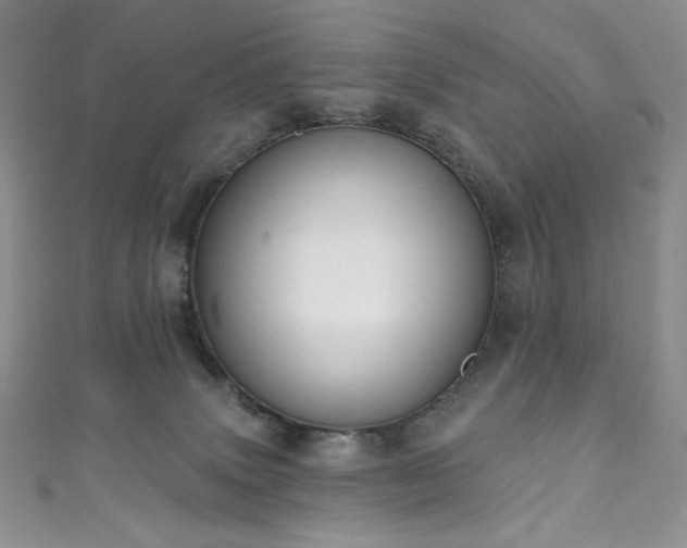 X0000111890083200907231605