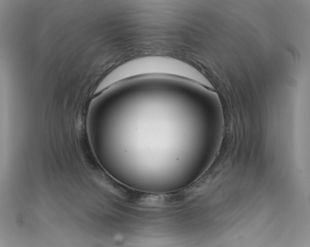 X0000111890084200907231605