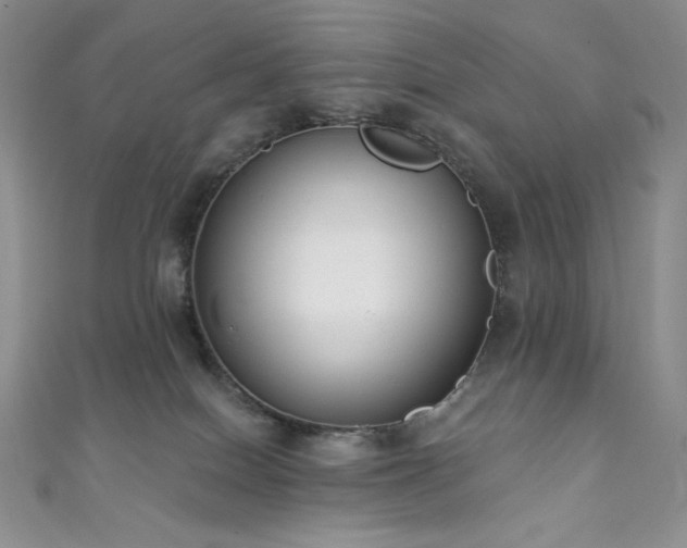 X0000111890086200907231605