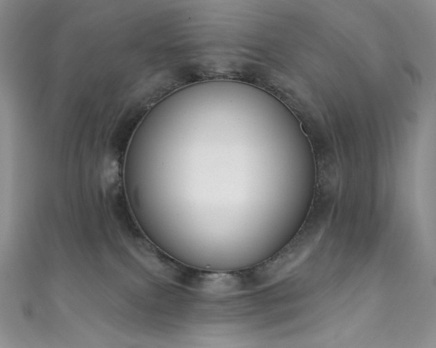 X0000111890087200907231605