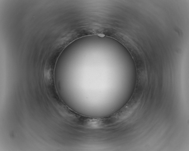 X0000111890088200907231605