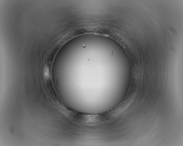 X0000111890089200907231605