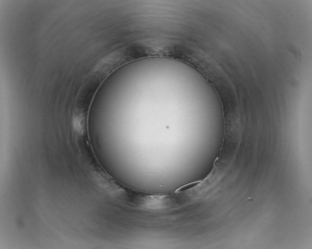 X0000111890090200907231605