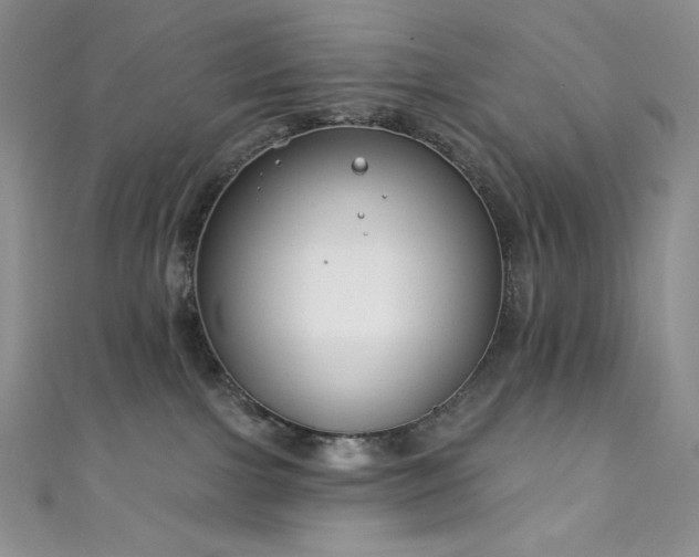 X0000111890091200907231605