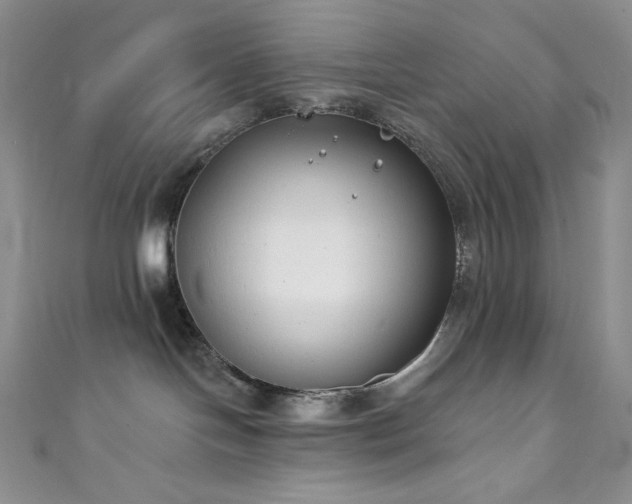 X0000111890094200907231606