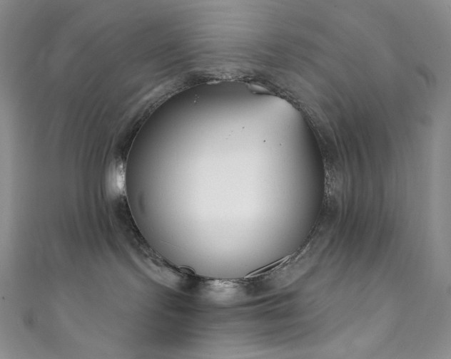 X0000111890095200907231606