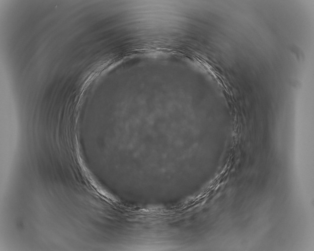 X0000111890097200907231605