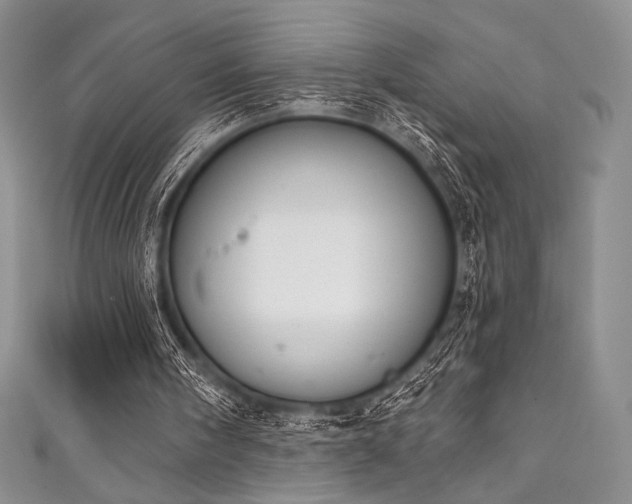 X0000111890098200907231605