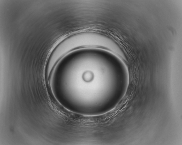 X0000111890100200907231605