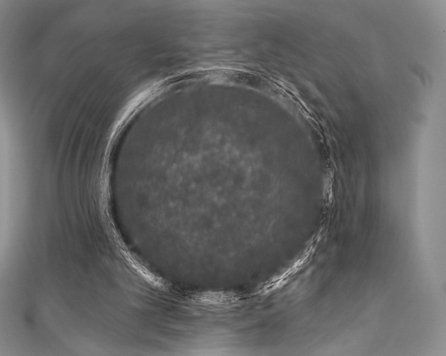 X0000111890101200907231605