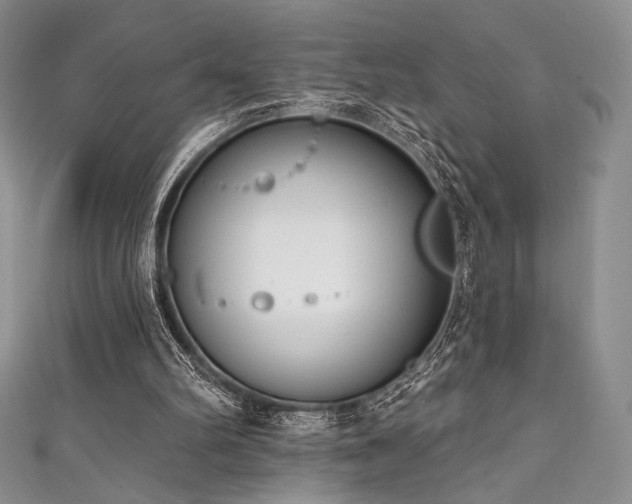 X0000111890102200907231605