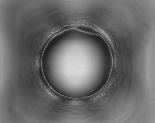 X0000111890105200907231605