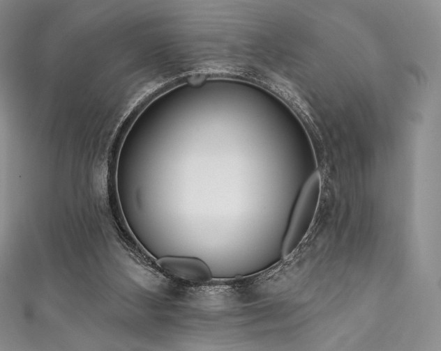 X0000111890108200907231605