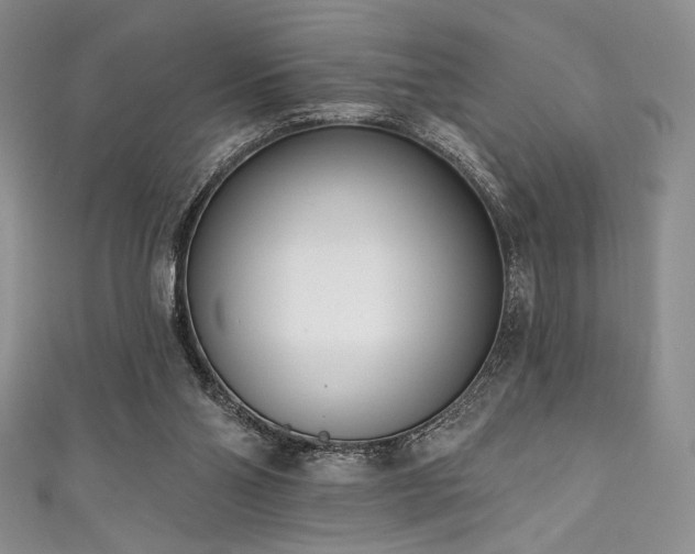 X0000111890110200907231605